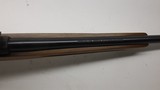 Ruger 77/17 17 HMR 22