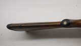 Ruger 77/17 17 HMR 22