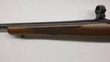 Ruger 77/17 17 HMR 22