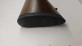 Ruger 77/17 17 HMR 22
