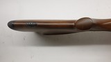 Winchester 70 Safari Express Classic pre '64 Action New Haven Conn - 11 of 20