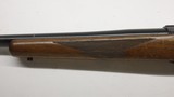 Ruger M77 243 Winchester Varmint 1990 Tang Safety Red Pad - 17 of 20