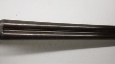 W. Griffiths Hammer gun, 12ga 29