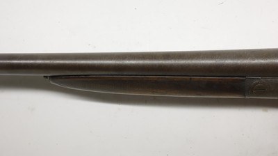 W. Griffiths Hammer gun, 12ga 29