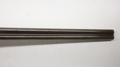 W. Griffiths Hammer gun, 12ga 29