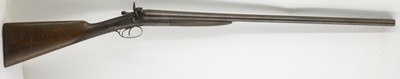 W. Griffiths Hammer gun, 12ga 29