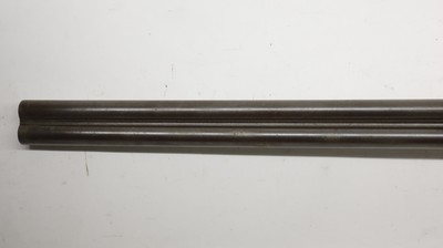 W. Griffiths Hammer gun, 12ga 29