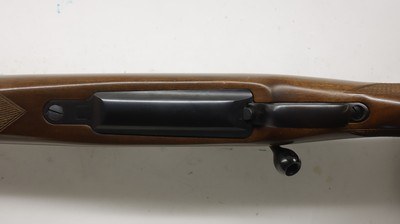 CZ USA 550 Safari Magnum 375 H&H 26