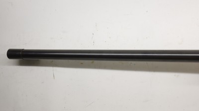 CZ USA 550 Safari Magnum 375 H&H 26