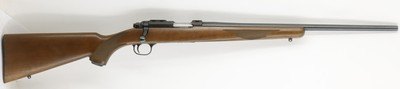 Ruger 77/22 22LR 20