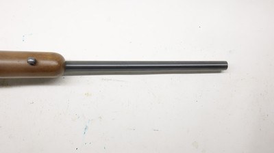 Ruger 77/22 22LR 20