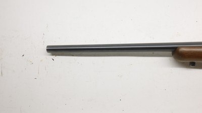 Ruger 77/22 22LR 20