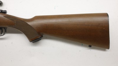 Ruger 77/22 22LR 20