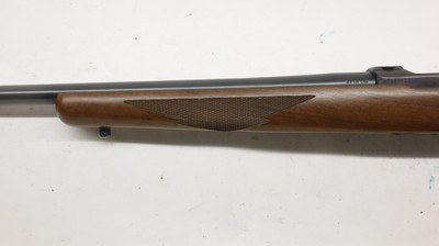 Ruger 77/22 22LR 20
