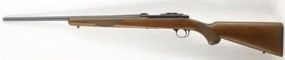 Ruger 77/22 22LR 20
