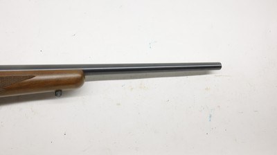 Ruger 77/22 22LR 20