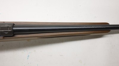 Ruger 77/22 22LR 20