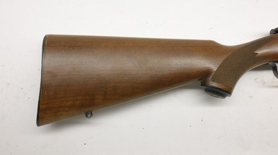 Ruger 77/22 22LR 20