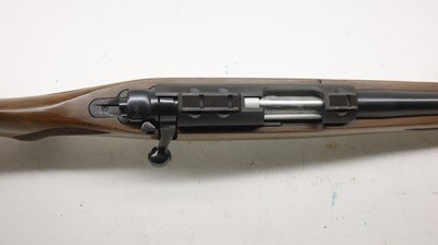 Ruger 77/22 22LR 20