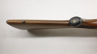 Ruger 77/22 22LR 20