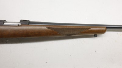Ruger 77/22 22LR 20