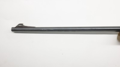 Weatherby By Beretta XXII 22LR, 24