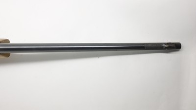 Weatherby By Beretta XXII 22LR, 24