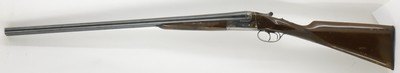 Cebra Boxlock, 12ga 2.75