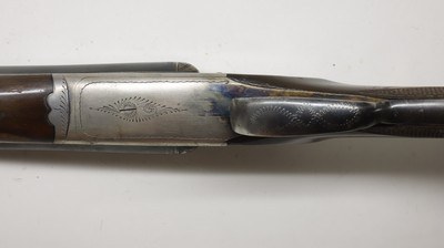 Cebra Boxlock, 12ga 2.75