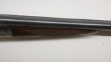 Cebra Boxlock, 12ga 2.75
