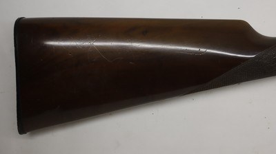 Cebra Boxlock, 12ga 2.75