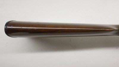 Cebra Boxlock, 12ga 2.75