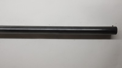 Cebra Boxlock, 12ga 2.75