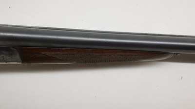 Cebra Boxlock, 12ga 2.75