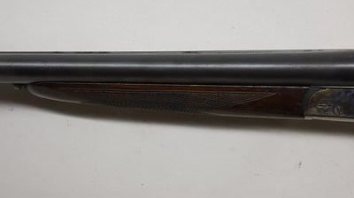 Cebra Boxlock, 12ga 2.75