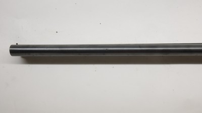 Cebra Boxlock, 12ga 2.75