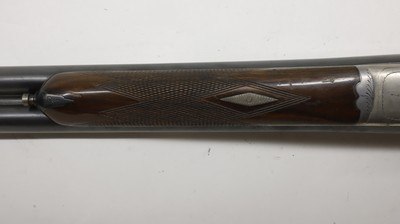 Cebra Boxlock, 12ga 2.75