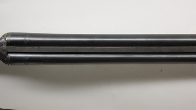 Cebra Boxlock, 12ga 2.75
