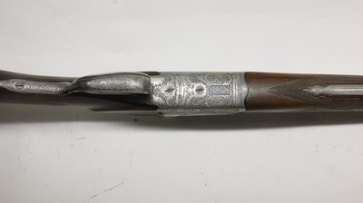 AyA Coral 12ga 28