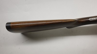 AyA Coral 12ga 28