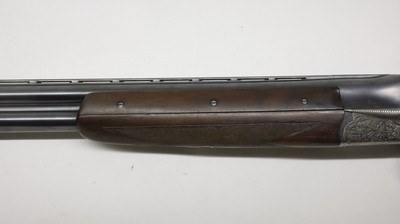AyA Coral 12ga 28