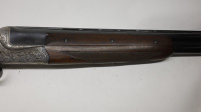 AyA Coral 12ga 28