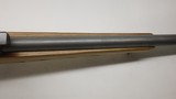 Ruger 77/22 22 Hornet 18
