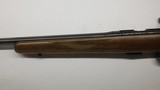 CZ USA 452 - 2E American 17 Mach 2, 22