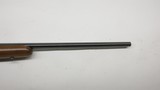 CZ USA 452 - 2E American 17 Mach 2, 22