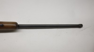 CZ USA 452 452-2E-SKMAmerican 17 HMR, 23