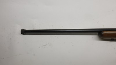 CZ USA 452 452-2E-SKMAmerican 17 HMR, 23