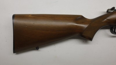 CZ USA 452 452-2E-SKMAmerican 17 HMR, 23