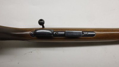 CZ USA 452 452-2E-SKMAmerican 17 HMR, 23