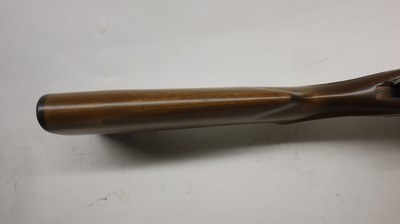 CZ USA 452 452-2E-SKMAmerican 17 HMR, 23